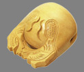 杢魚その２