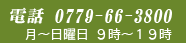 電話 0779-66-3800 月～日曜日 9時～19時